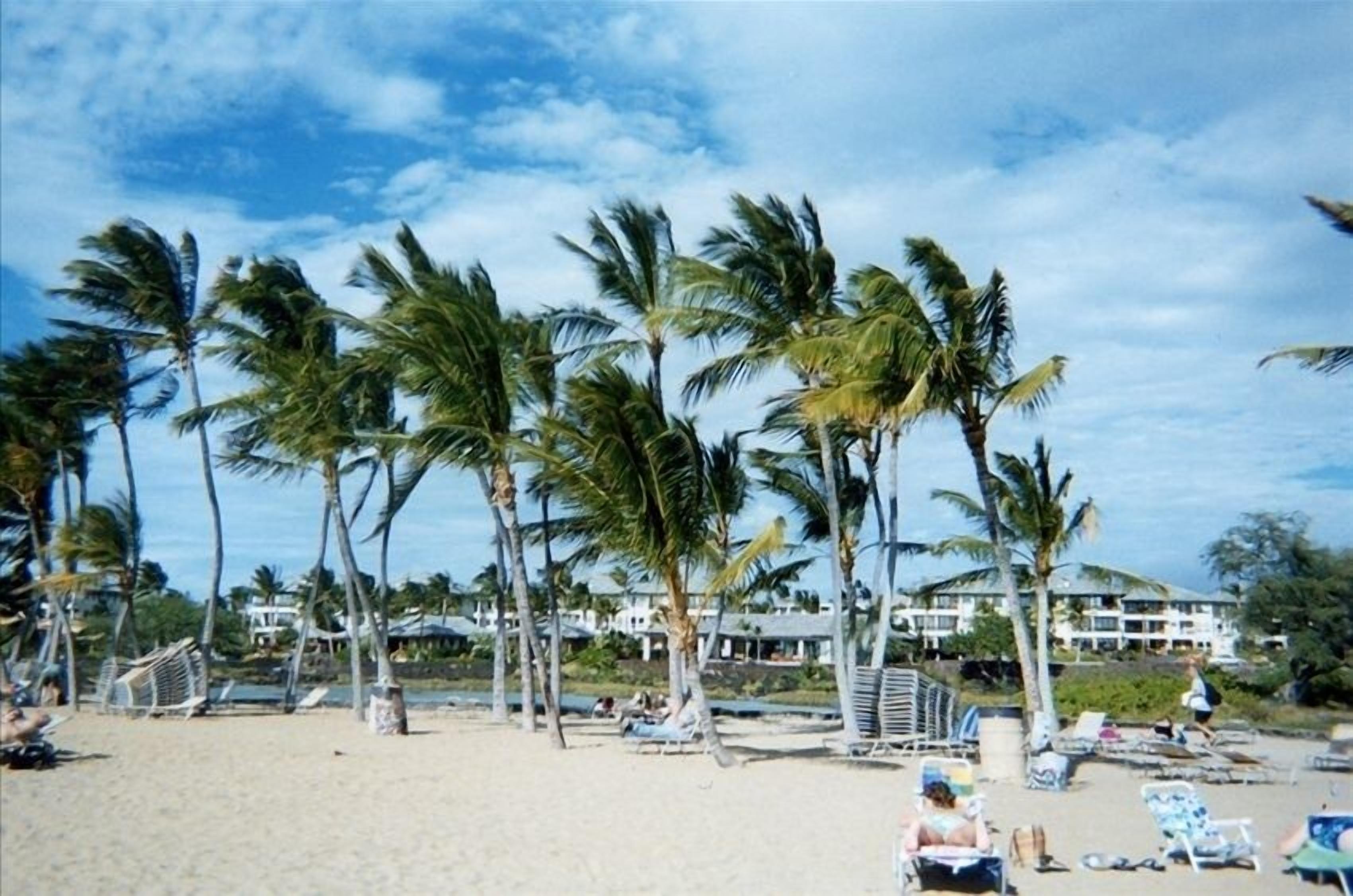 Am Strand, Liegestühle, Strandtücher