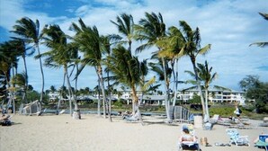 A beach with palm trees, beach chairs, and a large building in the background.