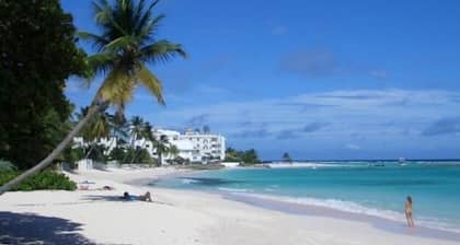 Reach Out and Touch Barbados