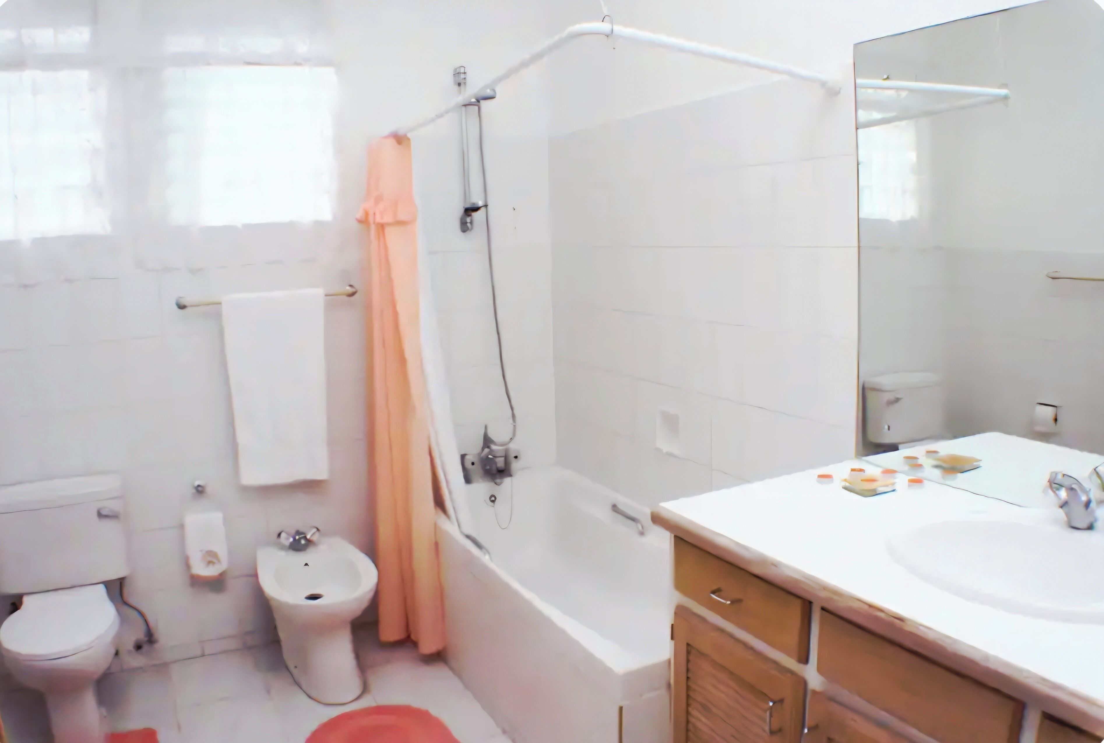 Combined shower/tub, bidet, towels, toilet paper
