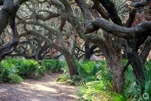 Overnattingsstedets uteområder