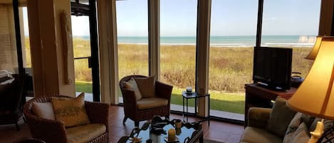 Televisión, reproductor de DVD, libros y biblioteca musical