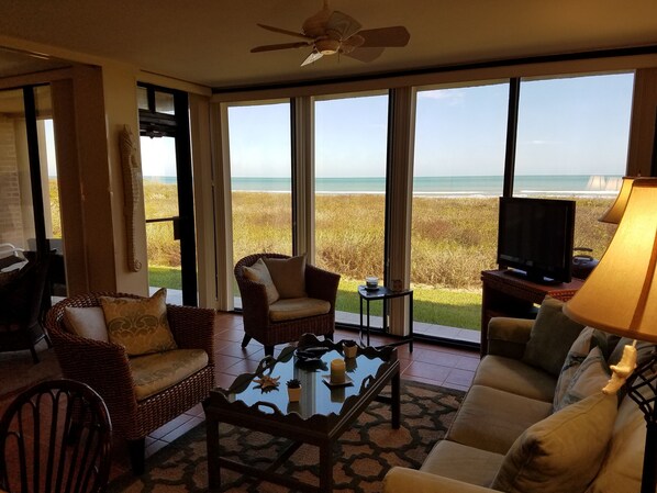 TV, DVD player, books, music library