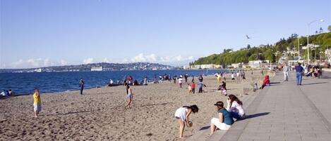 Plage à proximité, chaises longues, serviettes de plage