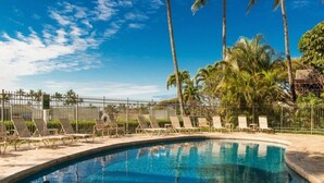 Piscina com espreguiçadeiras e palmeiras.