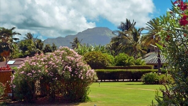 Um jardim exuberante com gramado bem cuidado, diversas plantas tropicais e uma cordilheira distante sob um céu parcialmente nublado.