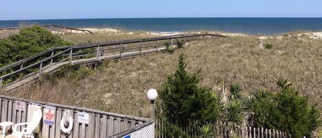 Plage, chaises longues