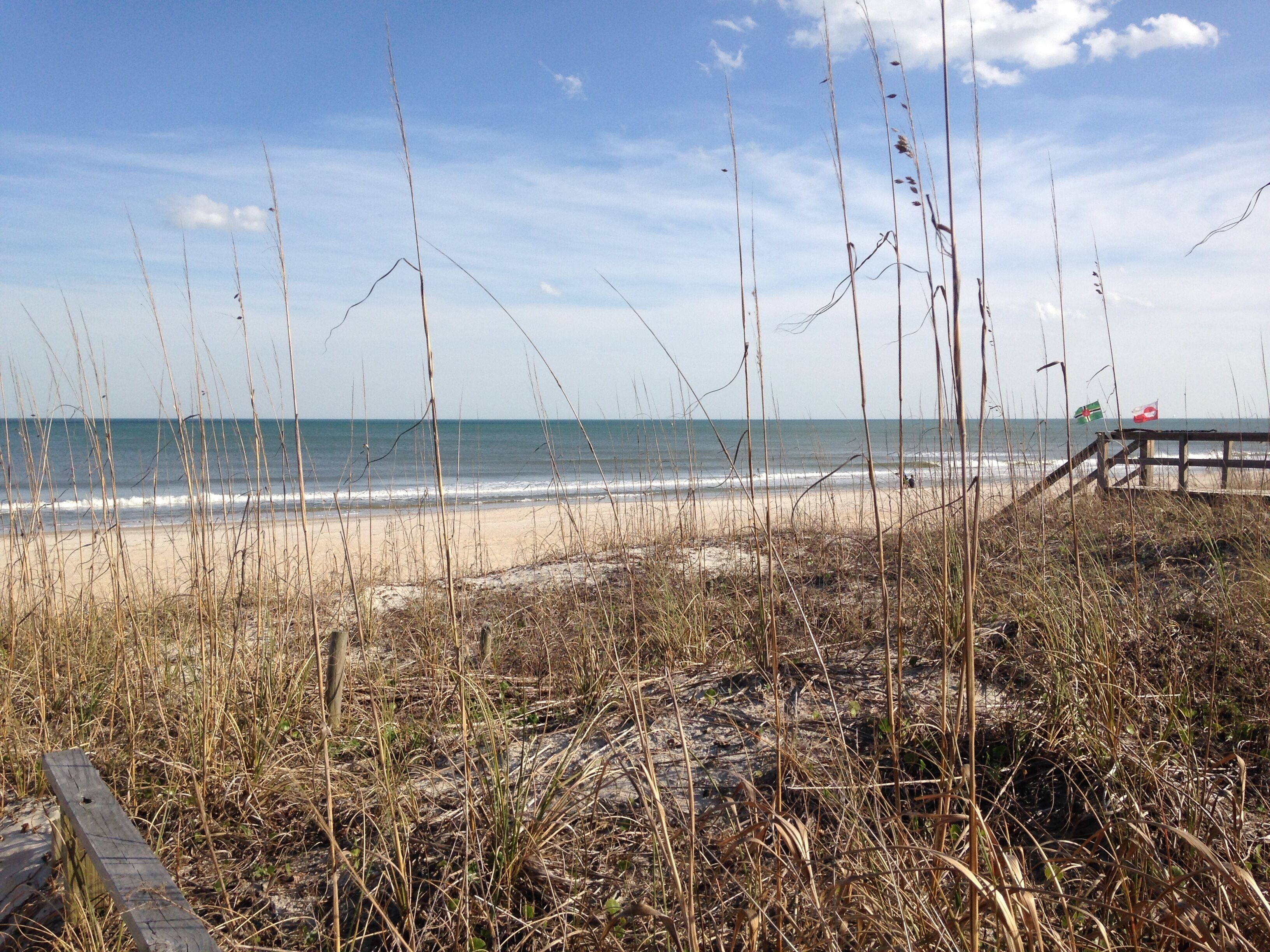 A beach with a wooden boardwalk leading to the water, surrounded by tall grasses and a clear sky.
