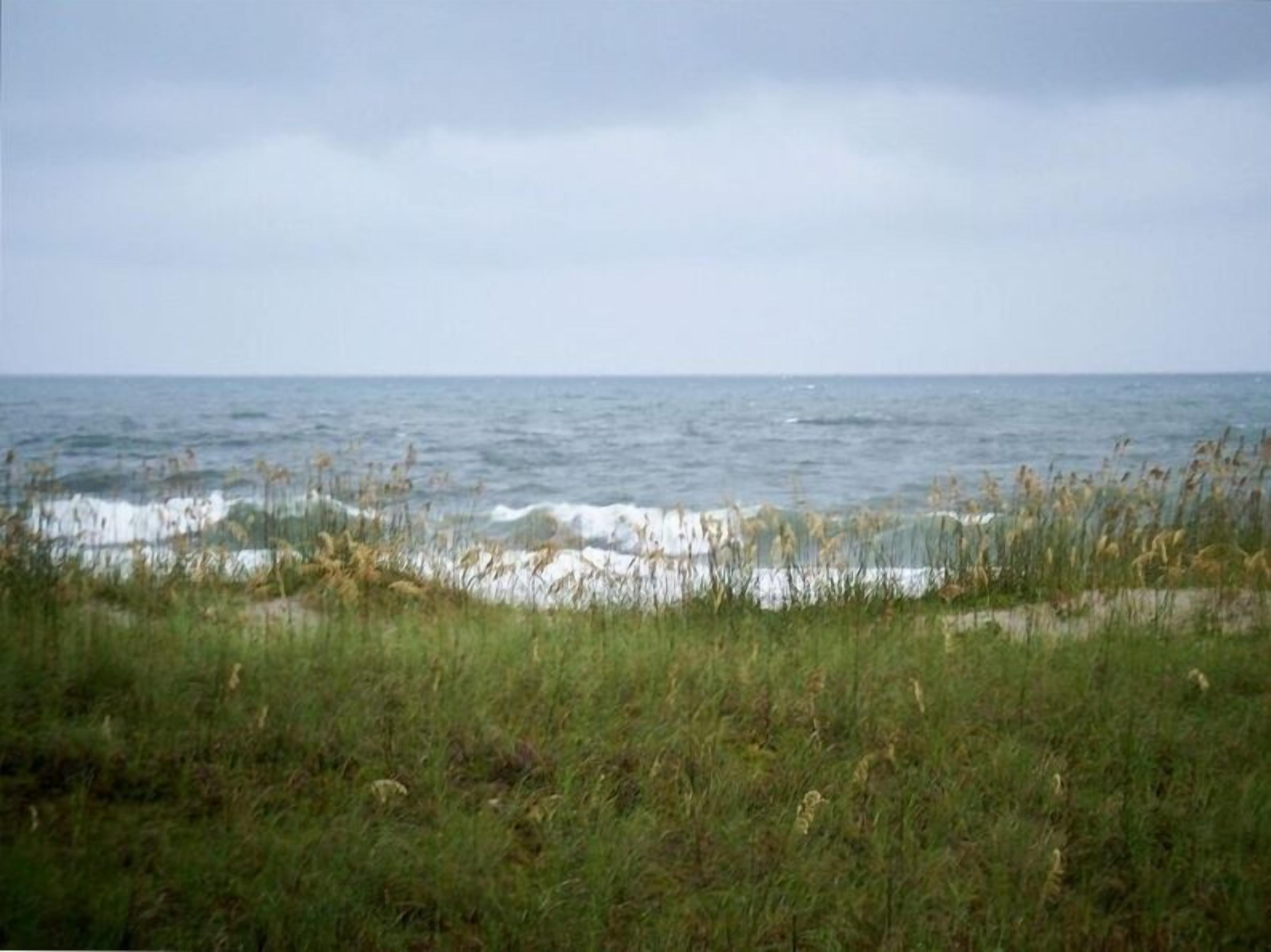 A coastal landscape with a grassy foreground and the ocean in the background.