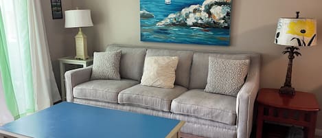 Smart TV, DVD player, books, video library