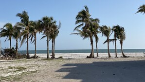 Una playa con palmeras y cielo despejado.