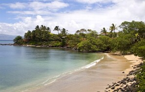 Une plage à l’eau turquoise et limpide, bordée d’un rivage sablonneux et d’une végétation luxuriante.