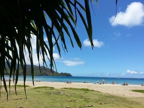 Playa en los alrededores, camastros y toallas de playa 