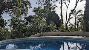 Una piscina rodeada de abundante vegetación y árboles.