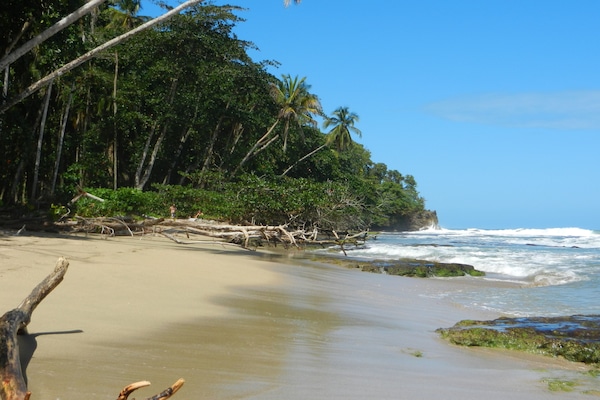 Playa
