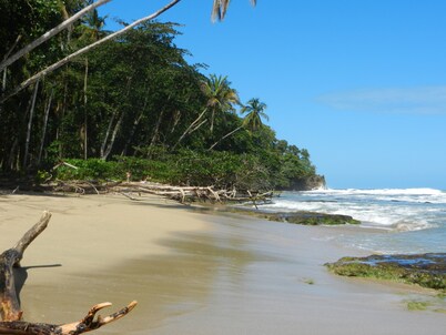 Seaview at Playa Chiquita       Wildlife Lodge above Canopy