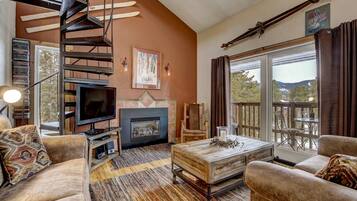 TV, fireplace, DVD player, video library