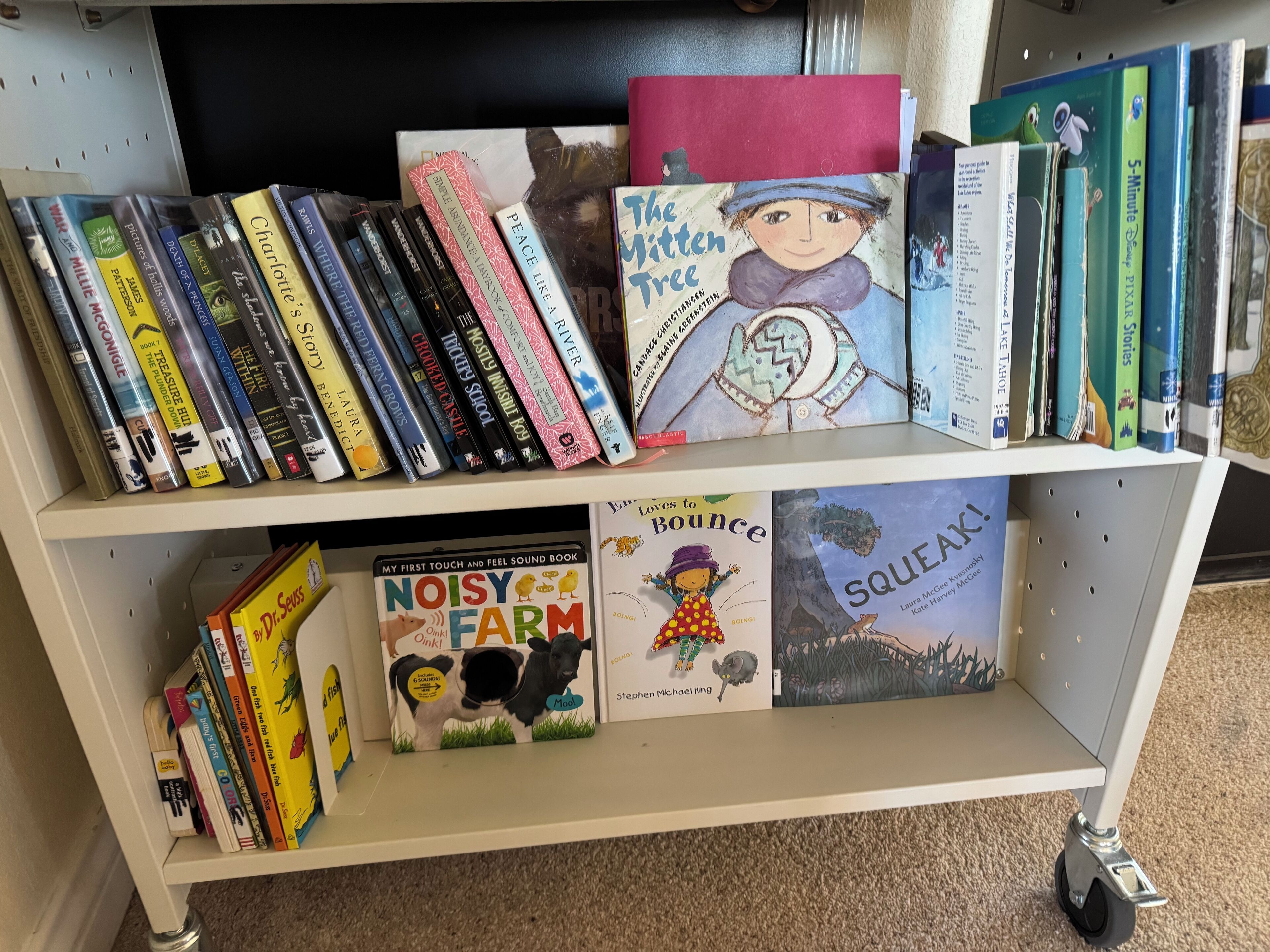A bookshelf with a variety of books, including children's books and novels.