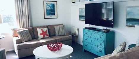 Smart TV, DVD player, books, video library