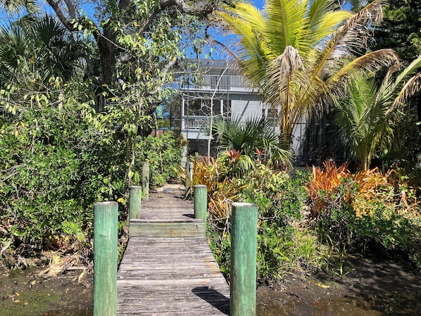 A wooden pathway leading to a building surrounded by dense tropical vegetation.