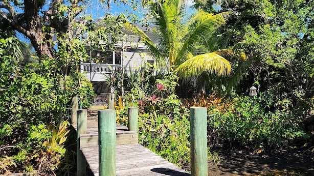 A wooden pathway leading through a lush garden with various plants and trees.