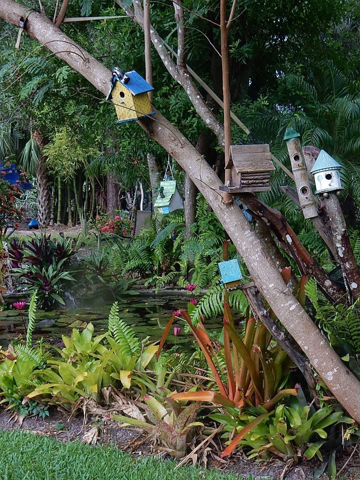 Un jardin agrémenté de différents nichoirs et d’un bassin.