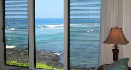 Hermoso océano y frente a la playa y un patio trasero privado! - ¡Único en su clase!