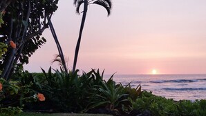 A sunset over the ocean with palm trees and greenery in the foreground. - Beautiful Ocean/Beachfront Property and A Private Back Yard!  AC in both BDRMS! (Kailua-Kona)
