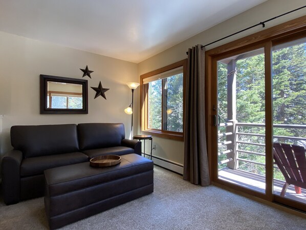 تلفزيون، مشغل دي في دي، كُتُب، مكتبة فيديو