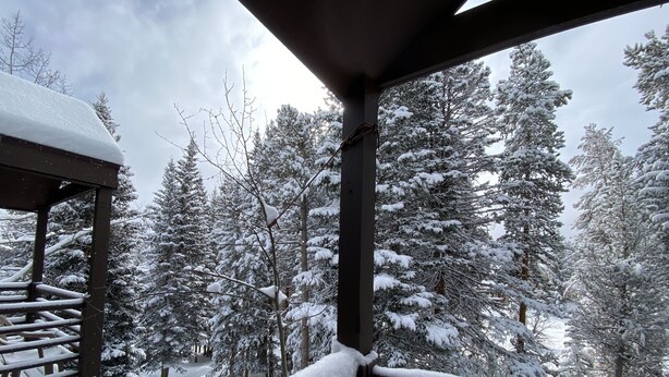 Un balcon enneigé avec vue sur une forêt.