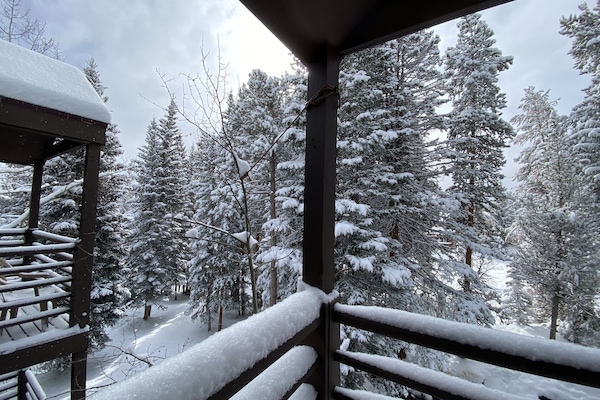 Powder Morning Deck View