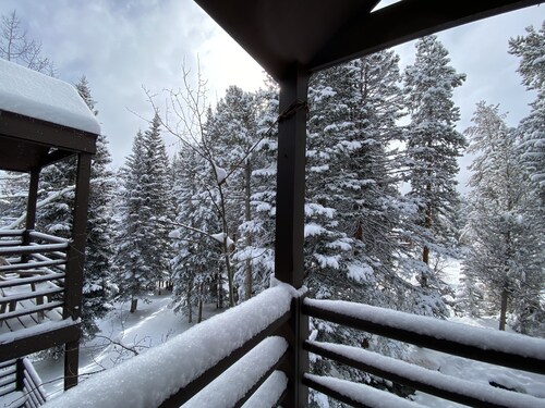Best Ski Slope View, Ski-in Condo. Easy to walk!