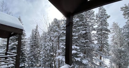 Best Ski Slope View, Ski-in Condo. Easy to walk!