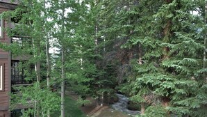 Une zone boisée traversée par un ruisseau, entourée de grands arbres et comprenant un bâtiment doté d’un balcon.