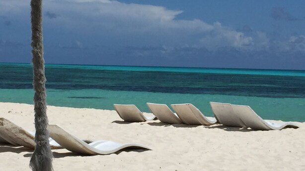 Een strand met witte ligbedden en een palmboom.