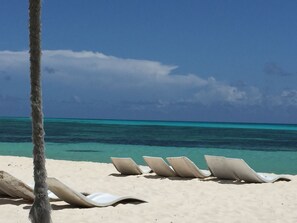 A beach with white lounge chairs and a palm tree.