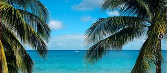 Fabulous Beachfront Condo - Book Now for Your Island Vacation