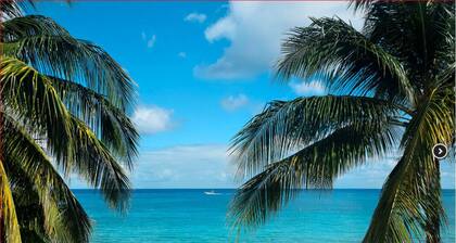Fabulous Beachfront Condo - Book Now for Your Island Vacation