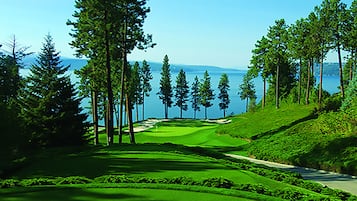 Golfe