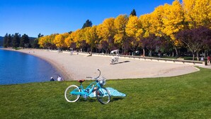Una playa con una bicicleta estacionada en el césped, cielo despejado y árboles amarillos al fondo.