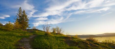 A grassy hillside with a clear sky and a lake in the distance.