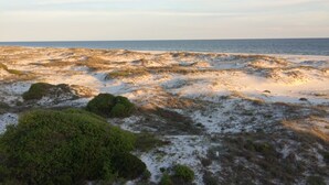 A coastal landscape with sandy terrain and sparse vegetation.