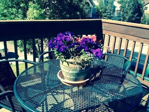 Outdoor dining - Rob Story Ski Lodge

Large chalet on Sunny Side of Telluride. (Telluride)