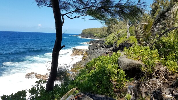 Un paisaje costero con una costa rocosa, vegetación densa y un cielo azul despejado.
