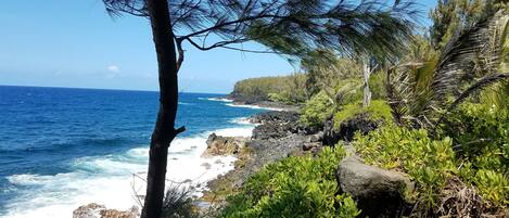 بالقرب من الشاطئ