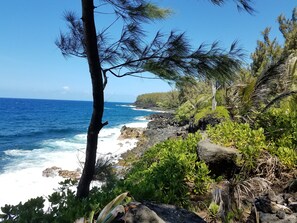 A coastal landscape with a rocky shoreline, dense greenery, and a clear blue sky.