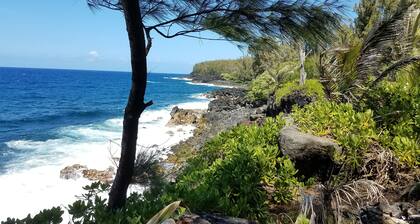 Tropical Paradise Getaway in Hawaiian Beaches, Pahoa, HI