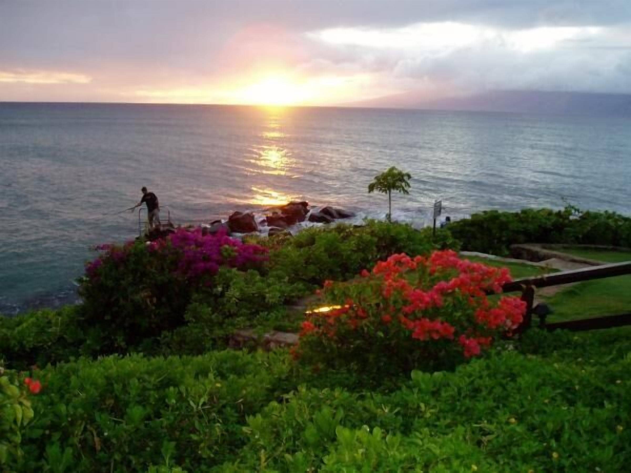 Vista costeira com pôr do sol, costa rochosa e vegetação exuberante.