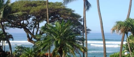 Vue sur la plage/l’océan