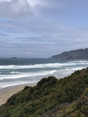 A coastal landscape with a beach, ocean waves, and a forested hill.